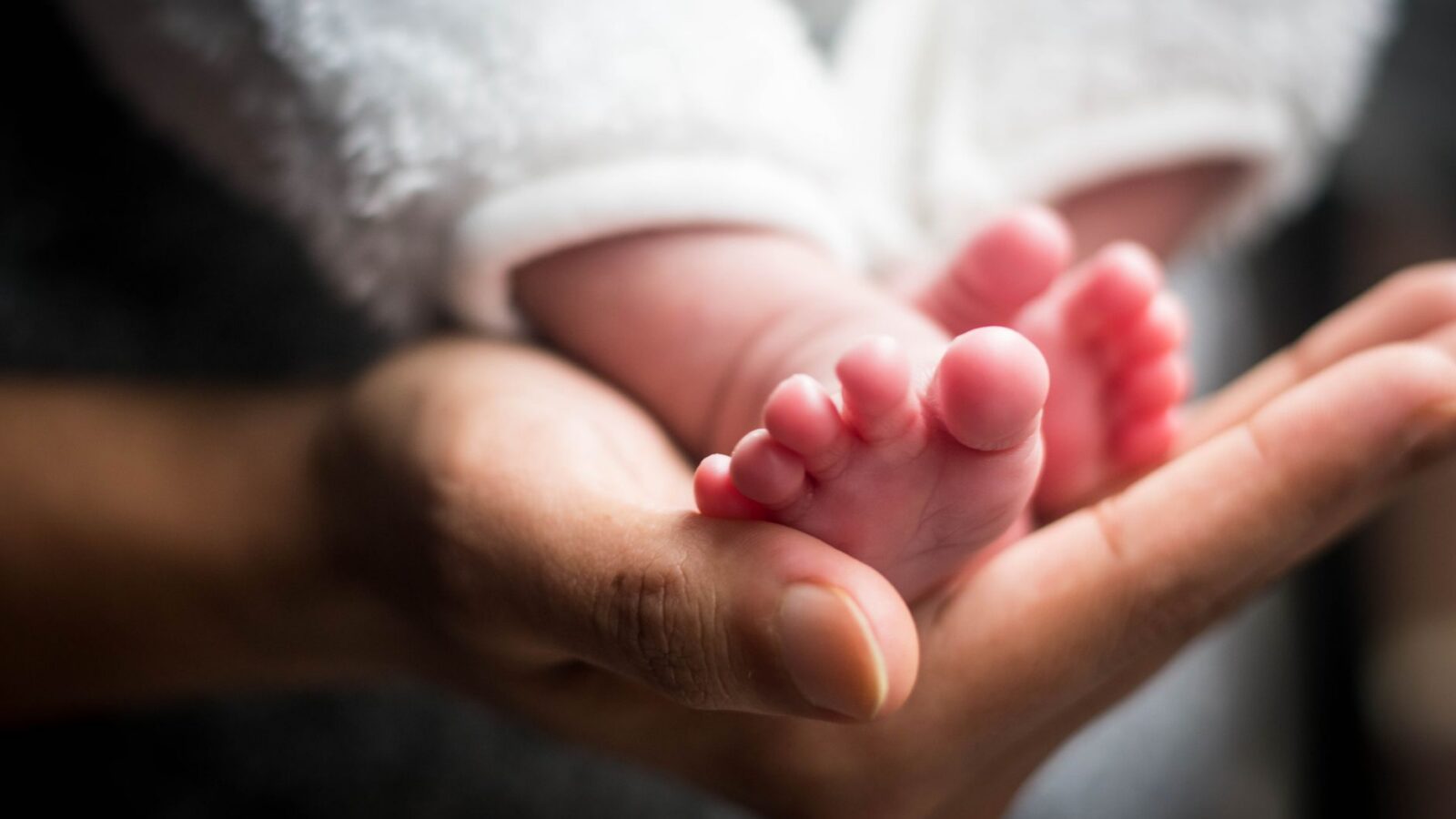 Abilità Metamorfica: cos'è e come scioglie i traumi prenatali